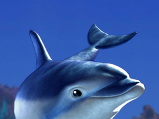 Dolphins Pearl Deluxe Buy Bonus